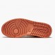 Womens/Mens Nike Jordan 1 Mid Apricot Orange Apricot Agate Terra Blush Atomic Orange/Apricot Agate/Terra Blush Jordan Shoes
