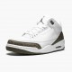 Womens/Mens Nike Jordan 3 Retro Mocha White/Chrome/Dark Mocha Jordan Shoes