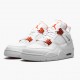 Womens/Mens Nike Jordan 4 Retro Metallic Orange White/Team Orange Metallic Sil Jordan Shoes